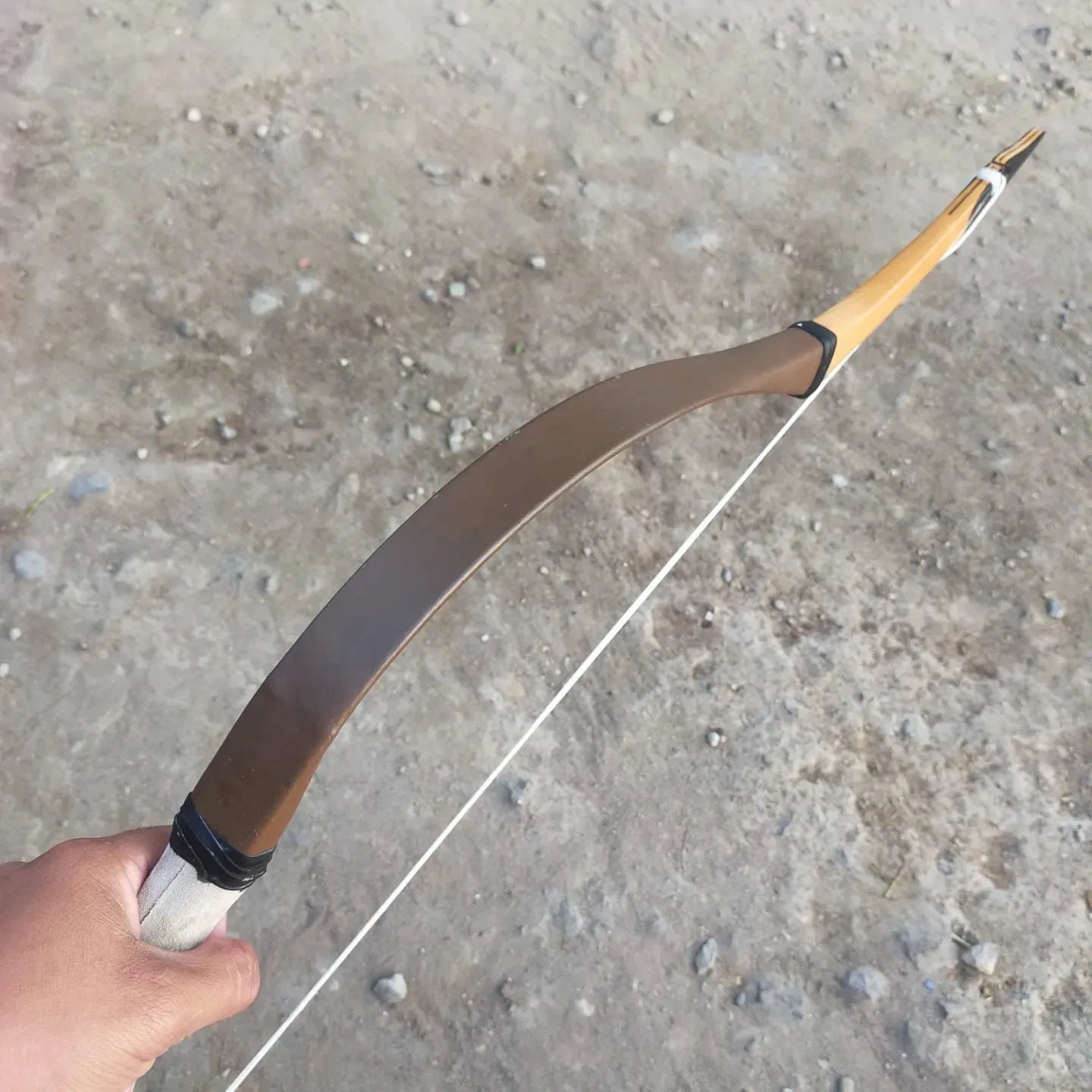 Hungarian Magyar Bow