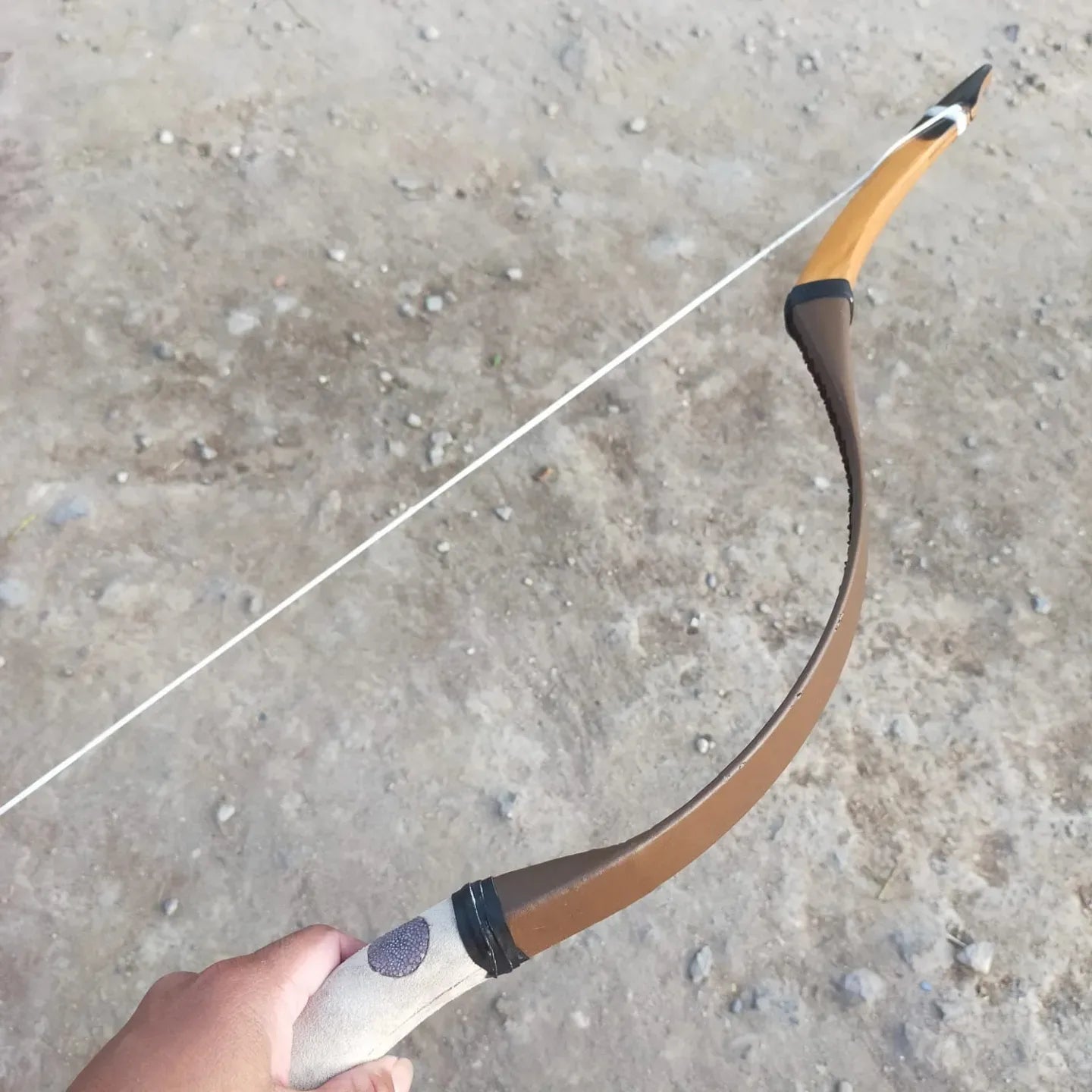 Hungarian Magyar Bow