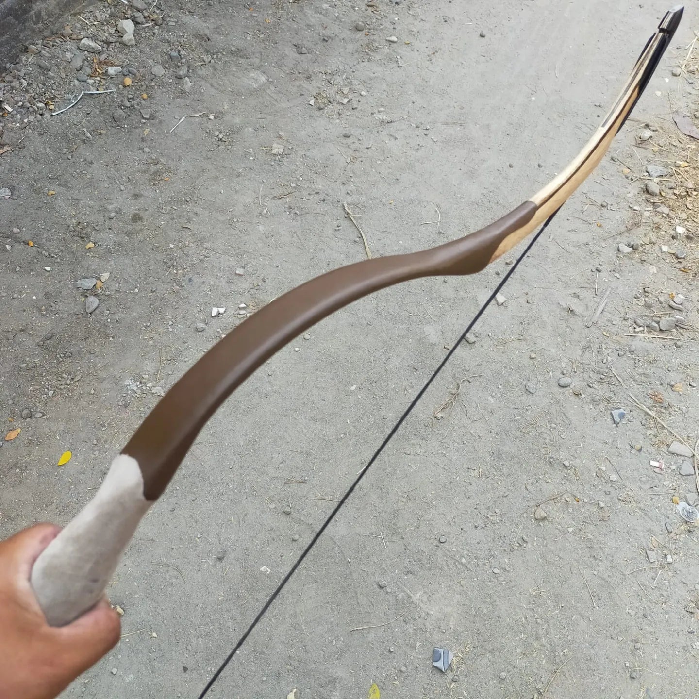 Early Mongolian Bow