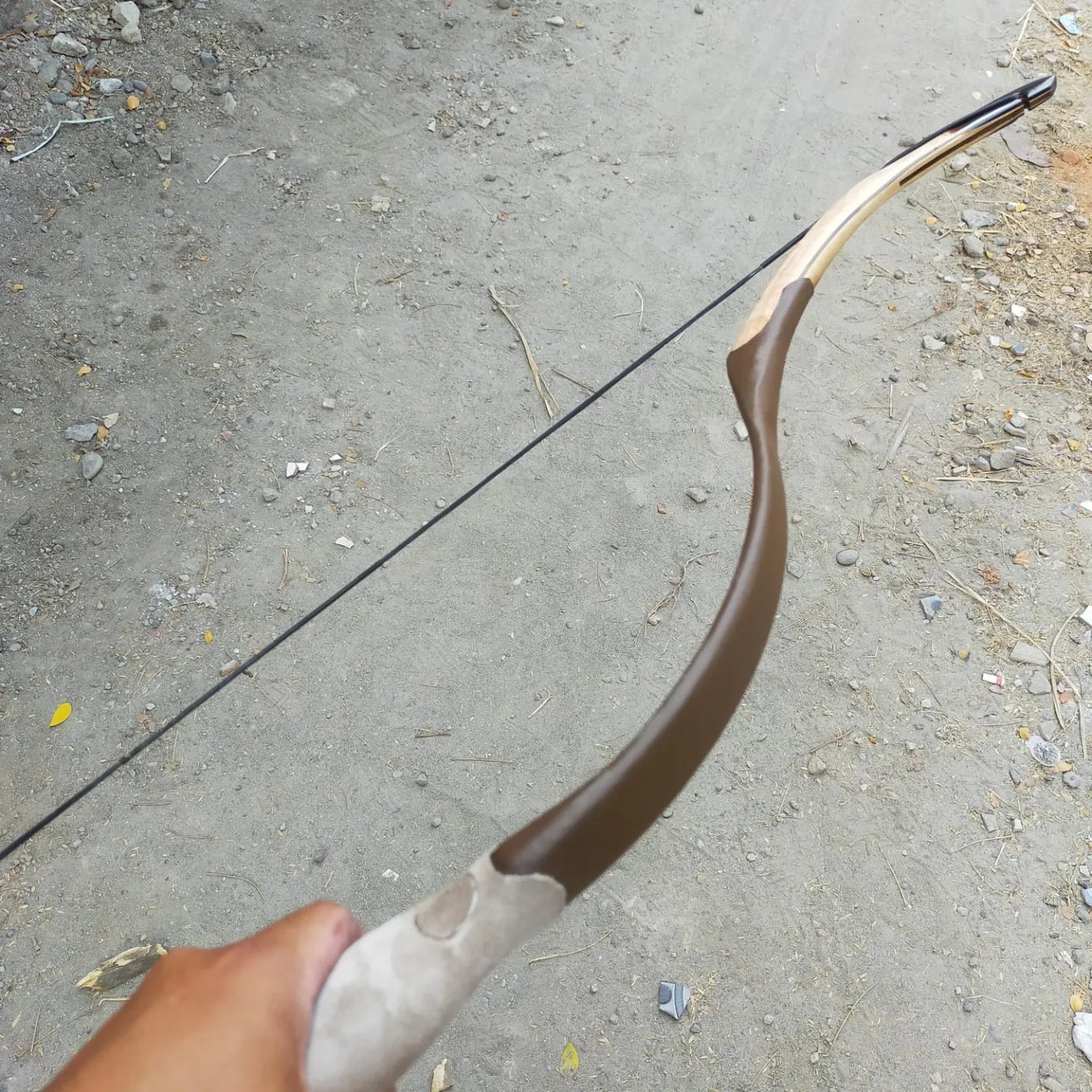 Early Mongolian Bow